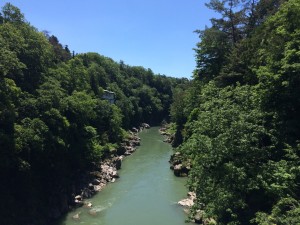 IMG_3024