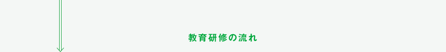 教育研修の流れ