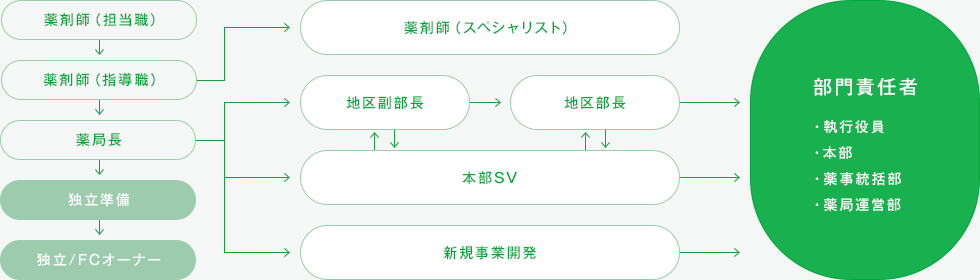 薬剤師キャリアコースイメージ